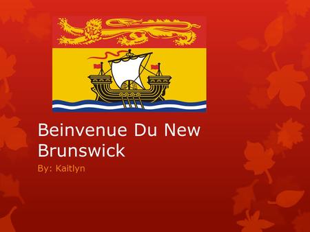 Beinvenue Du New Brunswick By: Kaitlyn. Bienvenue Du Nouveau-Brunswick  Beinvenue du New Brunswick! New Brunswick est connu pour beaucoup de choses par.