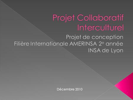 Projet Collaboratif Interculturel