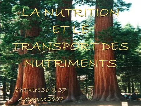 LA NUTRITION ET LE TRANSPORT DES NUTRIMENTS