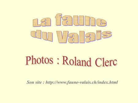 Son site : http://www.faune-valais.ch/index.html La faune du Valais Photos : Roland Clerc Son site : http://www.faune-valais.ch/index.html.