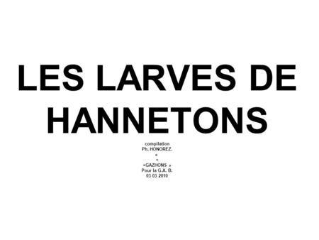 LES LARVES DE HANNETONS compilation Ph. HONOREZ