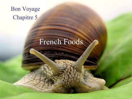 French Foods Bon Voyage Chapitre 5. Un café le petit déjeuner.