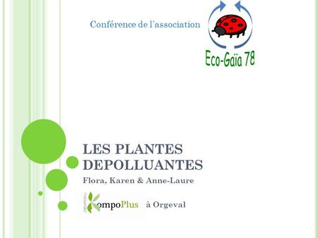 LES PLANTES DEPOLLUANTES