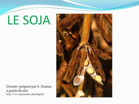 LE SOJA Dossier préparé par S. Dumas à partir du site