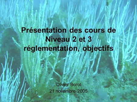 Présentation des cours de Niveau 2 et 3 réglementation, objectifs Olivier Borot 21 novembre 2005.