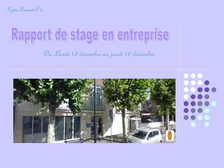 Rapport de stage en entreprise