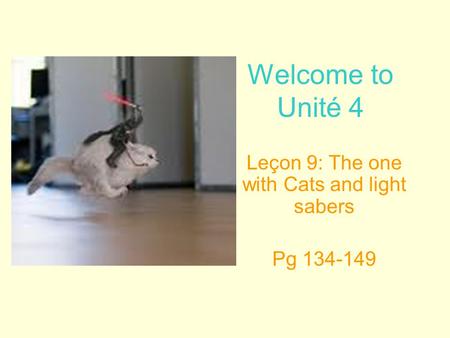 Welcome to Unité 4 Leçon 9: The one with Cats and light sabers Pg 134-149.