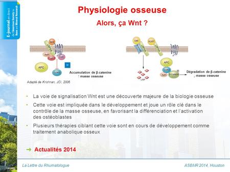 LRP4, une nouvelle cible pour un traitement anabolique ?