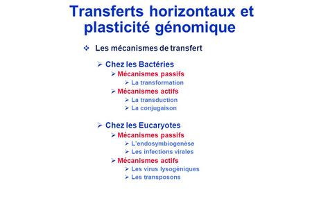 Transferts horizontaux et plasticité génomique