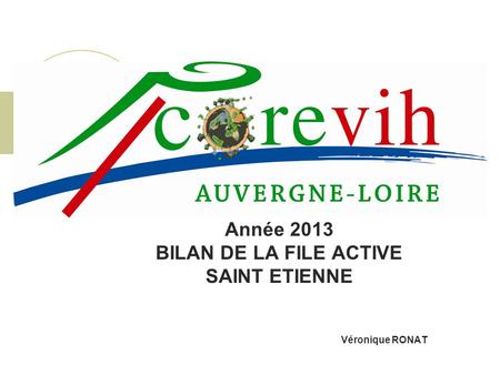 Année 2013 BILAN DE LA FILE ACTIVE SAINT ETIENNE Véronique RONAT.