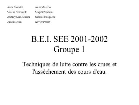 B.E.I. SEE 2001-2002 Groupe 1 Techniques de lutte contre les crues et l'assèchement des cours d'eau. Anne BlondelAnne Moretto Vanina GbiorczikMagali Paulhan.