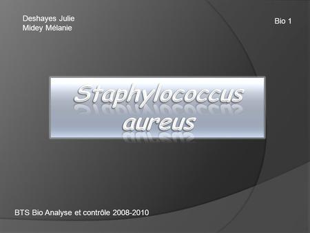 Staphylococcus aureus