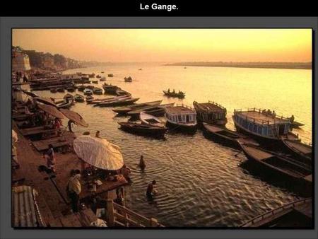 Le Gange.. La ville d'Agra, dans l'état de l'Uttar Pradesh, affiche un patrimoine d'une richesse extrême, la plupart des trésors de l'Inde y sont situés.