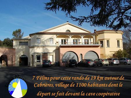 7 Félins pour cette rando de 19 km autour de Cabrières, village de 1100 habitants dont le départ se fait devant la cave coopérative.