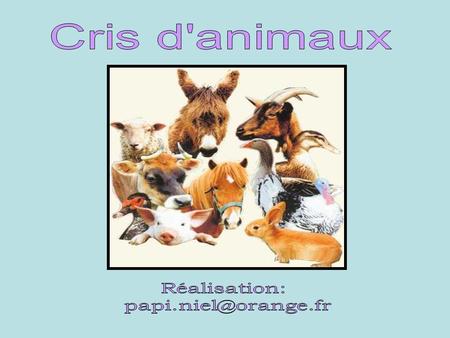 Cris d'animaux Réalisation: papi.niel@orange.fr.