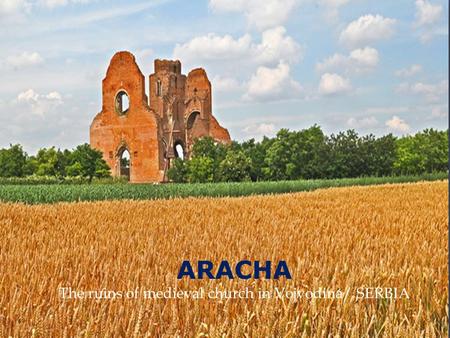 ARACHA The ruins of medieval church in Vojvodina/ SERBIA.