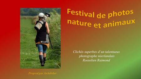 Festival de photos nature et animaux