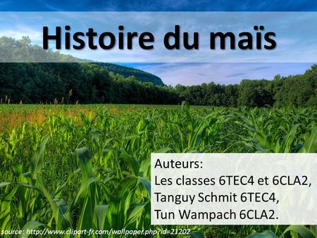Histoire du maïs Auteurs: Les classes 6TEC4 et 6CLA2,