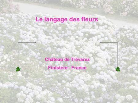 Le langage des fleurs Château de Trévarez Finistère - France.
