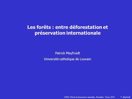 Les forêts : entre déforestation et préservation internationale