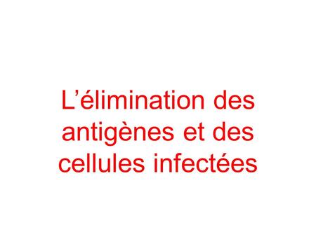L’élimination des antigènes et des cellules infectées