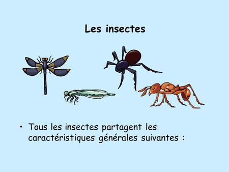 Les insectes Tous les insectes partagent les caractéristiques générales suivantes :
