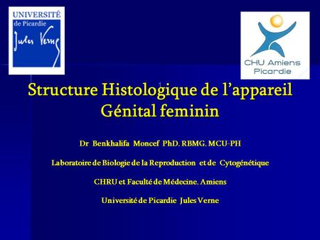 1 Structure Histologique de l’appareil Génital feminin Dr Benkhalifa Moncef PhD. RBMG. MCU-PH Laboratoire de Biologie de la Reproduction et de.