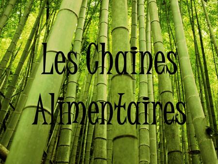 Les Chaines Alimentaires