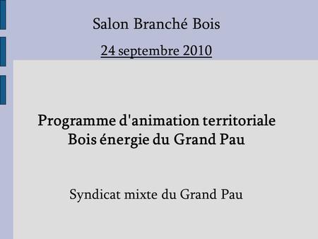 Salon Branché Bois 24 septembre 2010 Programme d'animation territoriale Bois énergie du Grand Pau Syndicat mixte du Grand Pau.