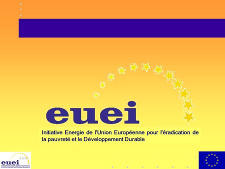 Initiative Energie de l'Union Européenne pour l'éradication de la pauvreté et le Développement Durable euei.