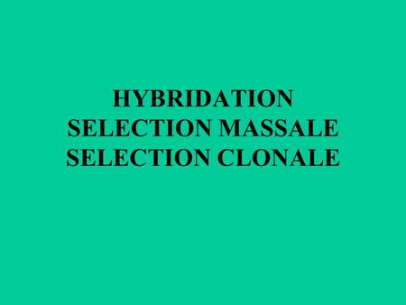 HYBRIDATION SELECTION MASSALE SELECTION CLONALE