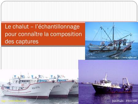 Http://www.safmc.net Le chalut – l’échantillonnage pour connaître la composition des captures Shrimp trawler: http://www.safmc.net/Portals/0/shrimp%20trawler2.jpg.