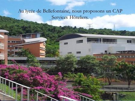 Au lycée de Bellefontaine, nous proposons un CAP Services Hôteliers.