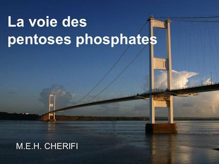 La voie des pentoses phosphates