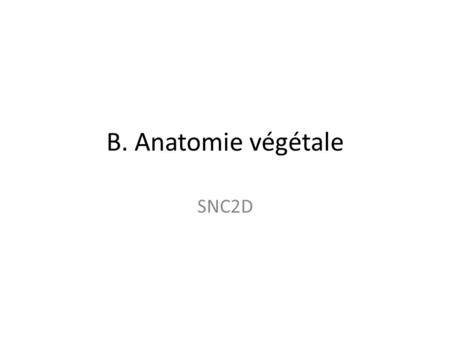B. Anatomie végétale SNC2D.
