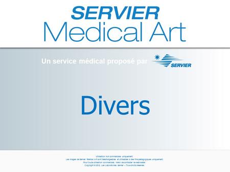 Divers Un service médical proposé par Utilisation non commerciale uniquement. Les images de Servier Medical Art sont téléchargeables et utilisables à des.