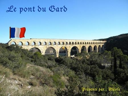 Le pont du Gard Présenté par : Nicole.