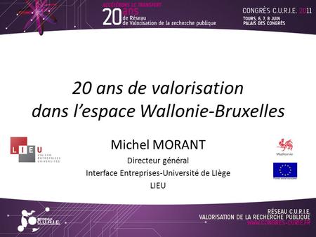 20 ans de valorisation dans l’espace Wallonie-Bruxelles Michel MORANT Directeur général Interface Entreprises-Université de LIège LIEU.