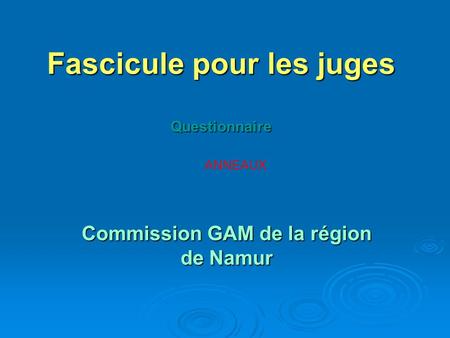 Fascicule pour les juges Questionnaire Commission GAM de la région de Namur ANNEAUX.