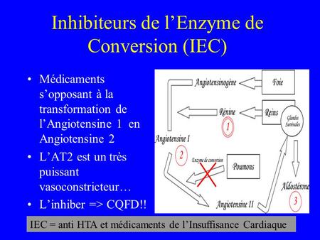 Inhibiteurs de l’Enzyme de Conversion (IEC)