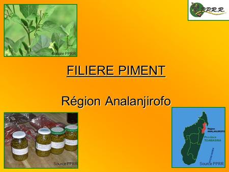 FILIERE PIMENT Région Analanjirofo