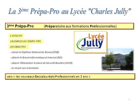 La 3ème Prépa-Pro au Lycée Charles Jully