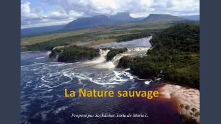 Proposé par Jackdidier. Texte de Marie L. Situé dans le plateau des Guyanes au Venezuela dans l’état de Bolivar, Le parc national Canaïma a été crée.