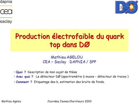 Production électrofaible du quark top dans DØ