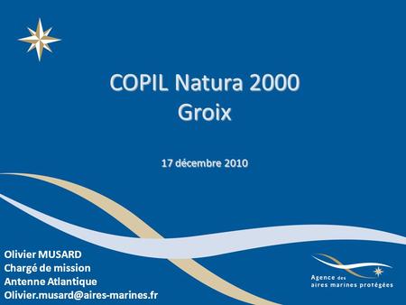 COPIL Natura 2000 Groix 17 décembre 2010 Olivier MUSARD Chargé de mission Antenne Atlantique