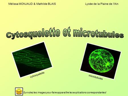 Cytosquelette et microtubules