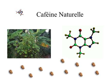 Caféine Naturelle.