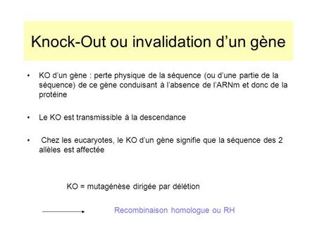 Knock-Out ou invalidation d’un gène