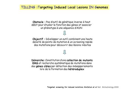TILLING :Targeting Induced Local Lesions IN Genomes