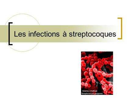 Les infections à streptocoques